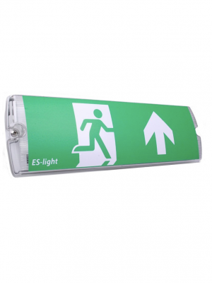 ESL 538 LED noodverlichting IP65 met  zelftest & 4 picto's