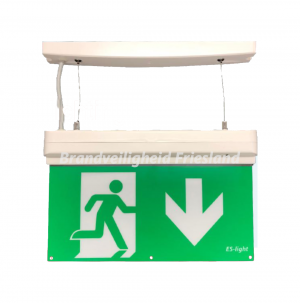 ESL 911 LED noodverlichting 4 in 1  met testknop & 6 picto's.