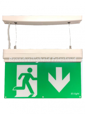 ESL 911 LED noodverlichting 4 in 1  met testknop & 6 picto's.